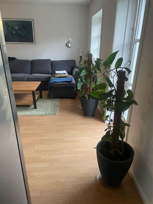 2 Bedroom Apartment Near The Sea Tisvilde Exteriör bild